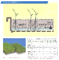 ねはりシート　10袋(200枚入)